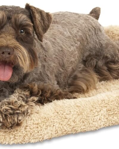 Petmate Aspen Pet Bolster Style Kennel Mat, 23-1/2 by 16-1/2-Inch