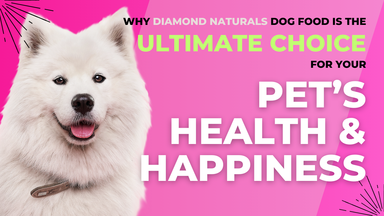 Why Diamond Naturals Dog Food is the Ultimate Choice for Your Pet’s Health and Happiness